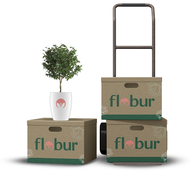 flobur transporte e1775719668233