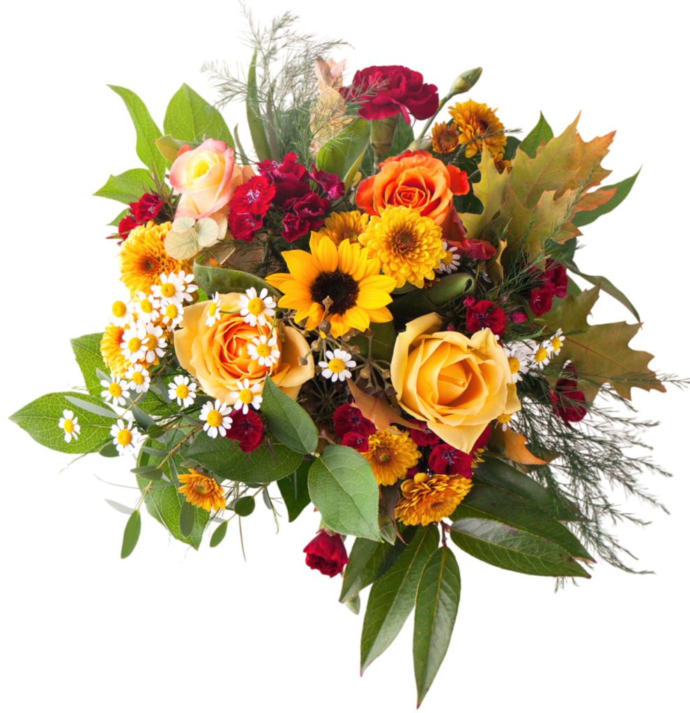 flores e1790239640505